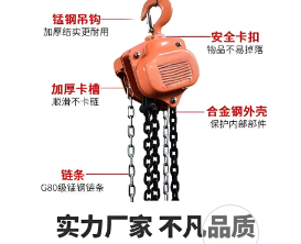 卓力生產(chǎn)倒鏈支持定制